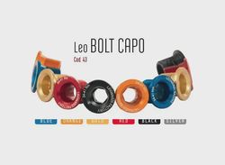 Leonardi Factory Bolt Capo skrutky do kľúk (strieborná)